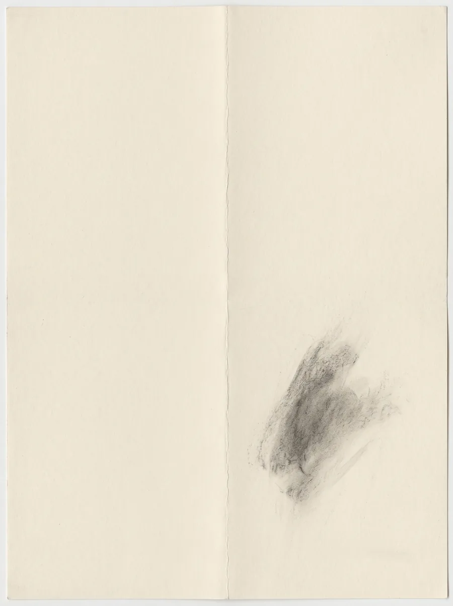 Ayla Demir, Fold