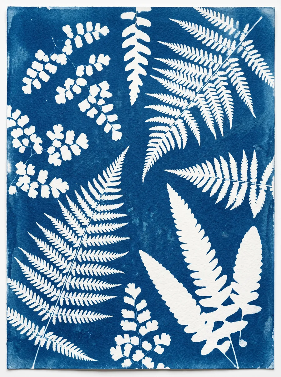 Elin Marklund, Cyanotype Forest