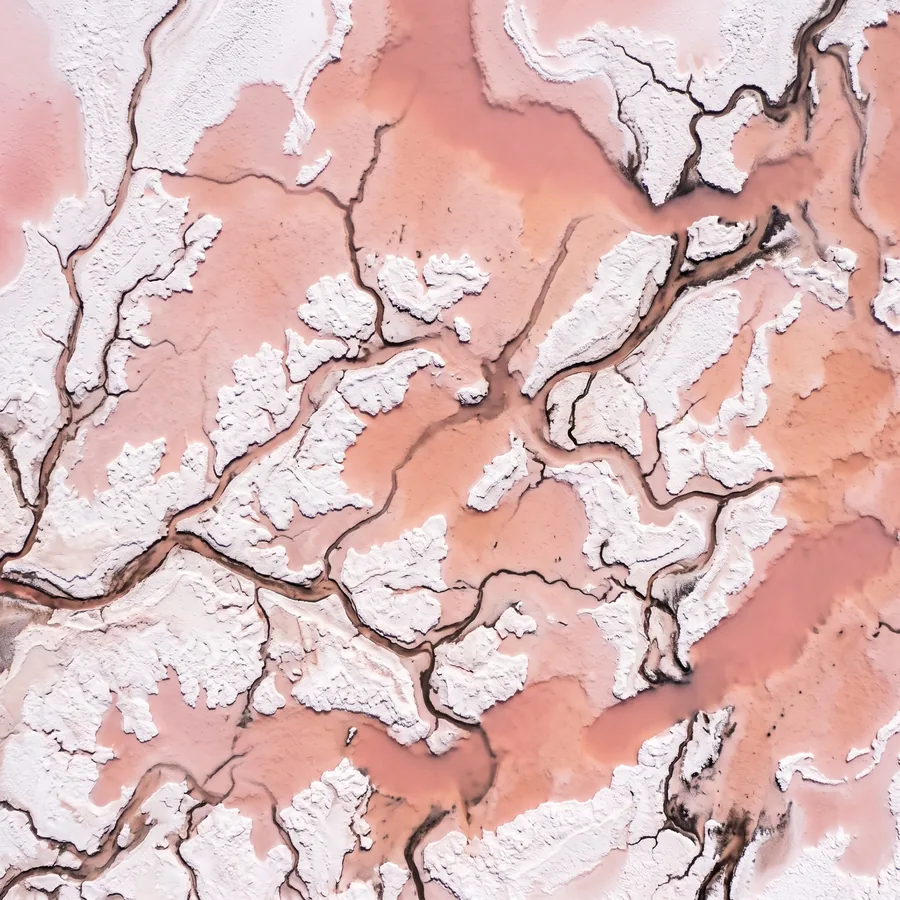 Elin Marklund, Salt Lake